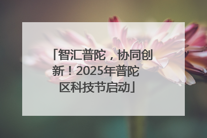 智汇普陀，协同创新！2025年普陀区科技节启动