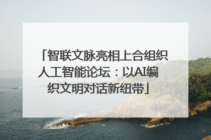 智联文脉亮相上合组织人工智能论坛：以AI编织文明对话新纽带