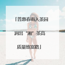 普惠春雨入茶园 润出“湘”茶高质量致富路