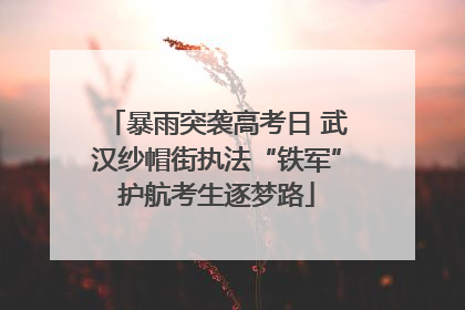 暴雨突袭高考日 武汉纱帽街执法“铁军”护航考生逐梦路