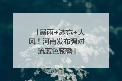 暴雨+冰雹+大风！河南发布强对流蓝色预警
