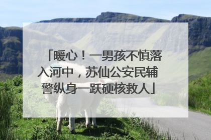 暖心！一男孩不慎落入河中，苏仙公安民辅警纵身一跃硬核救人