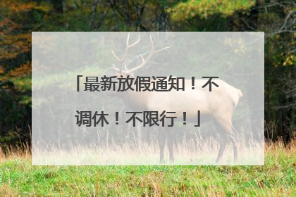 最新放假通知！不调休！不限行！