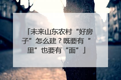 未来山东农村“好房子”怎么建？既要有“里”也要有“面”