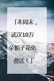 本周末，武汉10万朵栀子花免费送！