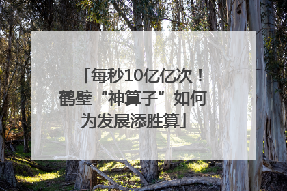 每秒10亿亿次！鹤壁“神算子”如何为发展添胜算