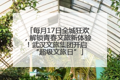 每月17日全城狂欢，解锁青春文旅新体验！武汉文旅集团开启 “超级文旅日”