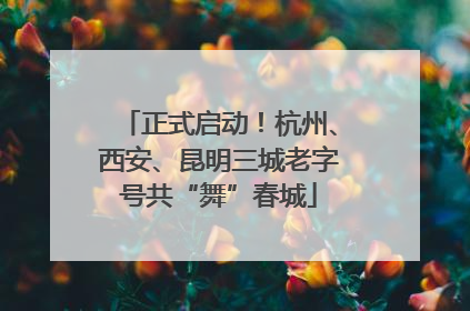 正式启动！杭州、西安、昆明三城老字号共“舞”春城