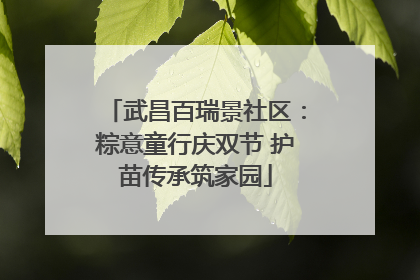 武昌百瑞景社区：粽意童行庆双节 护苗传承筑家园