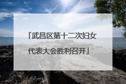 武昌区第十二次妇女代表大会胜利召开
