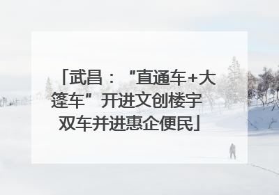 武昌：“直通车+大篷车”开进文创楼宇 双车并进惠企便民