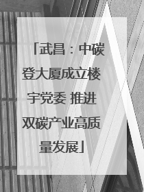 武昌：中碳登大厦成立楼宇党委 推进双碳产业高质量发展