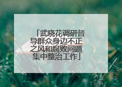武晓花调研督导群众身边不正之风和腐败问题集中整治工作