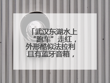 武汉东湖水上“跑车”走红，外形酷似法拉利且有蓝牙音箱，负责人：高峰期一两百人排队