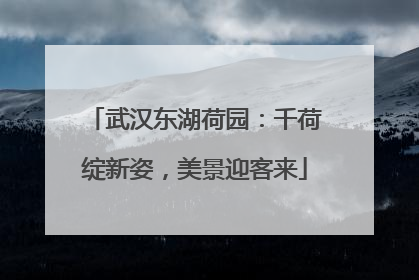 武汉东湖荷园：千荷绽新姿，美景迎客来