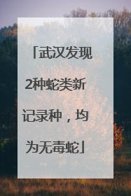 武汉发现2种蛇类新记录种，均为无毒蛇