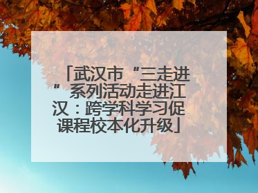 武汉市“三走进”系列活动走进江汉：跨学科学习促课程校本化升级