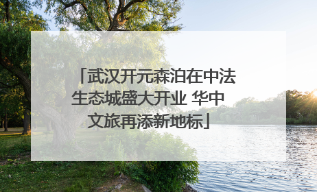武汉开元森泊在中法生态城盛大开业 华中文旅再添新地标
