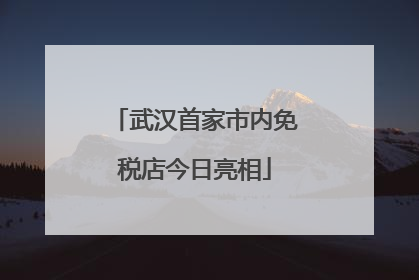 武汉首家市内免税店今日亮相