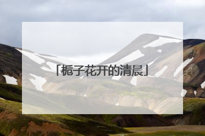 栀子花开的清晨