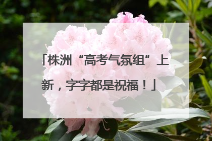 株洲“高考气氛组”上新，字字都是祝福！