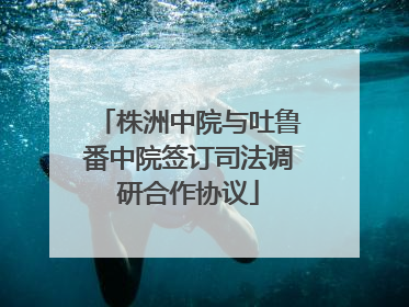 株洲中院与吐鲁番中院签订司法调研合作协议