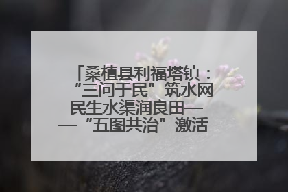 桑植县利福塔镇：“三问于民”筑水网 民生水渠润良田——“五图共治”激活基层治理新动能