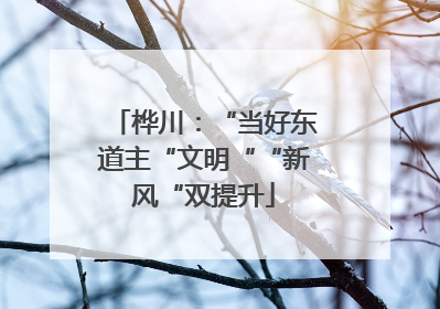 桦川：“当好东道主“文明““新风“双提升