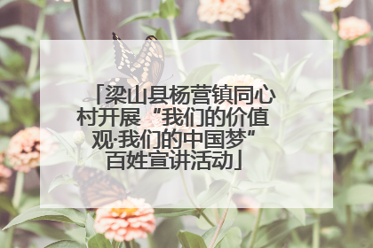 梁山县杨营镇同心村开展“我们的价值观·我们的中国梦”百姓宣讲活动