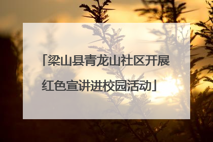 梁山县青龙山社区开展红色宣讲进校园活动