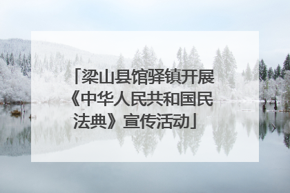 梁山县馆驿镇开展《中华人民共和国民法典》宣传活动