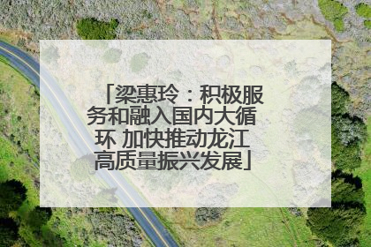 梁惠玲：积极服务和融入国内大循环 加快推动龙江高质量振兴发展