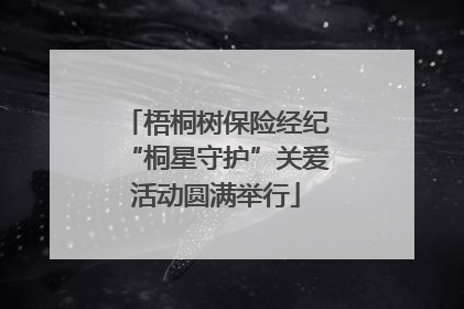 梧桐树保险经纪“桐星守护”关爱活动圆满举行