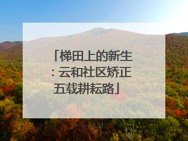 梯田上的新生：云和社区矫正五载耕耘路