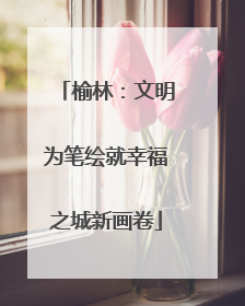 榆林：文明为笔绘就幸福之城新画卷