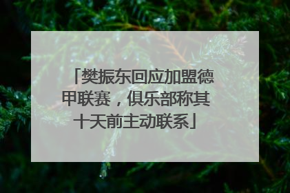 樊振东回应加盟德甲联赛，俱乐部称其十天前主动联系