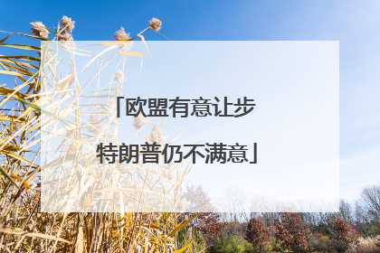 欧盟有意让步 特朗普仍不满意