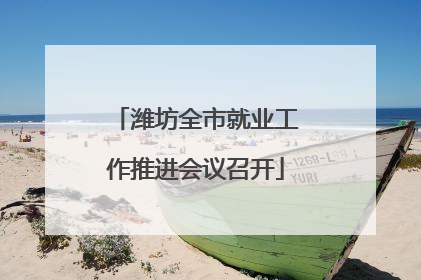 潍坊全市就业工作推进会议召开