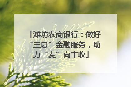 潍坊农商银行：做好“三夏”金融服务，助力“麦”向丰收