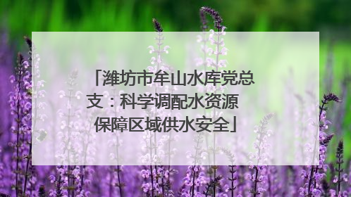 潍坊市牟山水库党总支：科学调配水资源 保障区域供水安全