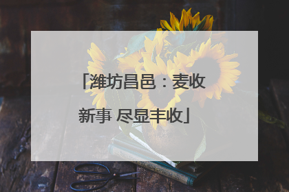 潍坊昌邑：麦收新事 尽显丰收