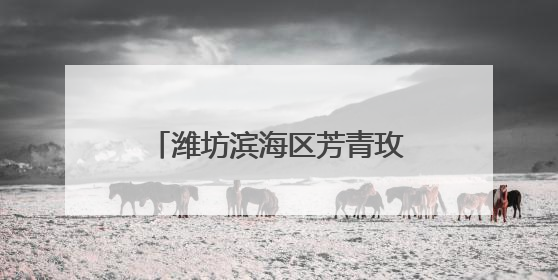 潍坊滨海区芳青玫瑰园以农业创新激活乡村振兴新动能