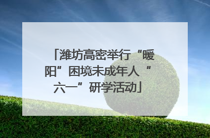 潍坊高密举行“暖阳”困境未成年人“六一”研学活动