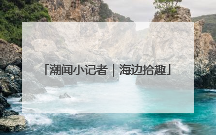 潮闻小记者｜海边拾趣