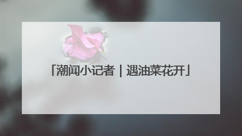 潮闻小记者｜遇油菜花开