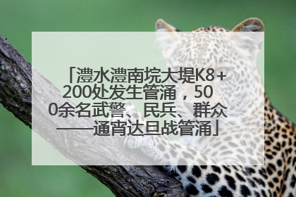 澧水澧南垸大堤K8+200处发生管涌，500余名武警、民兵、群众——通宵达旦战管涌
