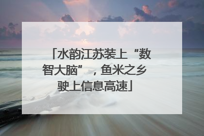 水韵江苏装上“数智大脑”，鱼米之乡驶上信息高速