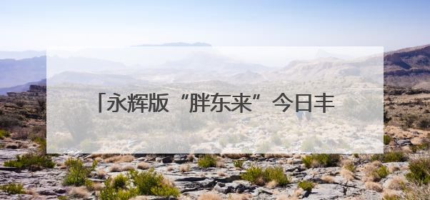 永辉版“胖东来”今日丰台亮相，月底前再开一家