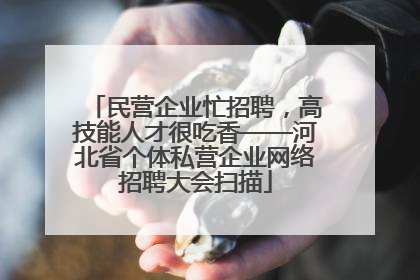 民营企业忙招聘，高技能人才很吃香——河北省个体私营企业网络招聘大会扫描