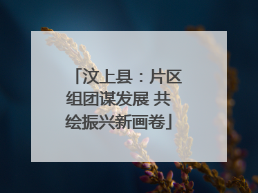 汶上县：片区组团谋发展 共绘振兴新画卷